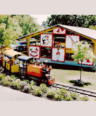 Nut Tree Train