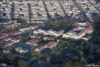 Bay area